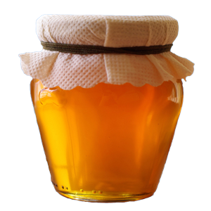 Honey PNG-11585